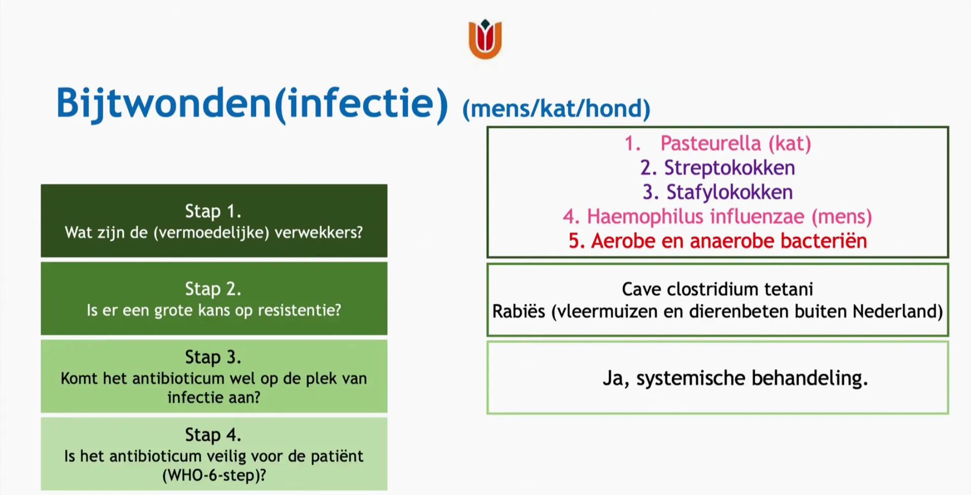 Bijtwondinfecties mens/kat/hond: overzicht